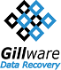 Gillware Logo Gillware Logo